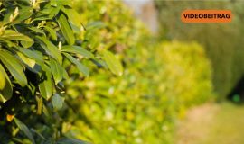 Screen_26 03 01 Änderungen im März