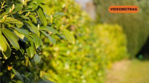 Screen_26 03 01 Änderungen im März