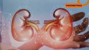 260401_Screen_Neue Chancen für Nierenpatienten