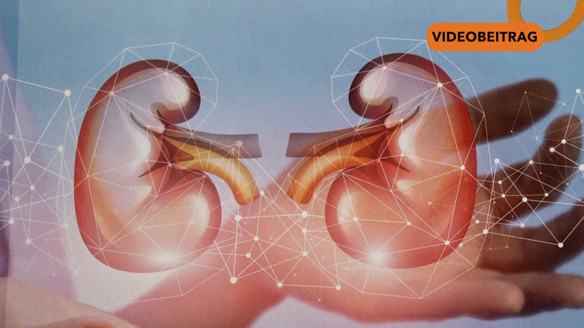 260401_Screen_Neue Chancen für Nierenpatienten