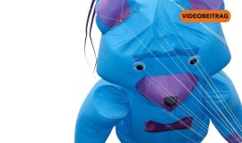 260413_Screen_Flugkunst ueber dem See