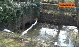 260423_Screen_Dieselaustritt am Krankenhaus Lingen geklärt