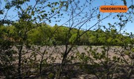 260430_Screen_Neues Baugebiet in Lingen-Laxten