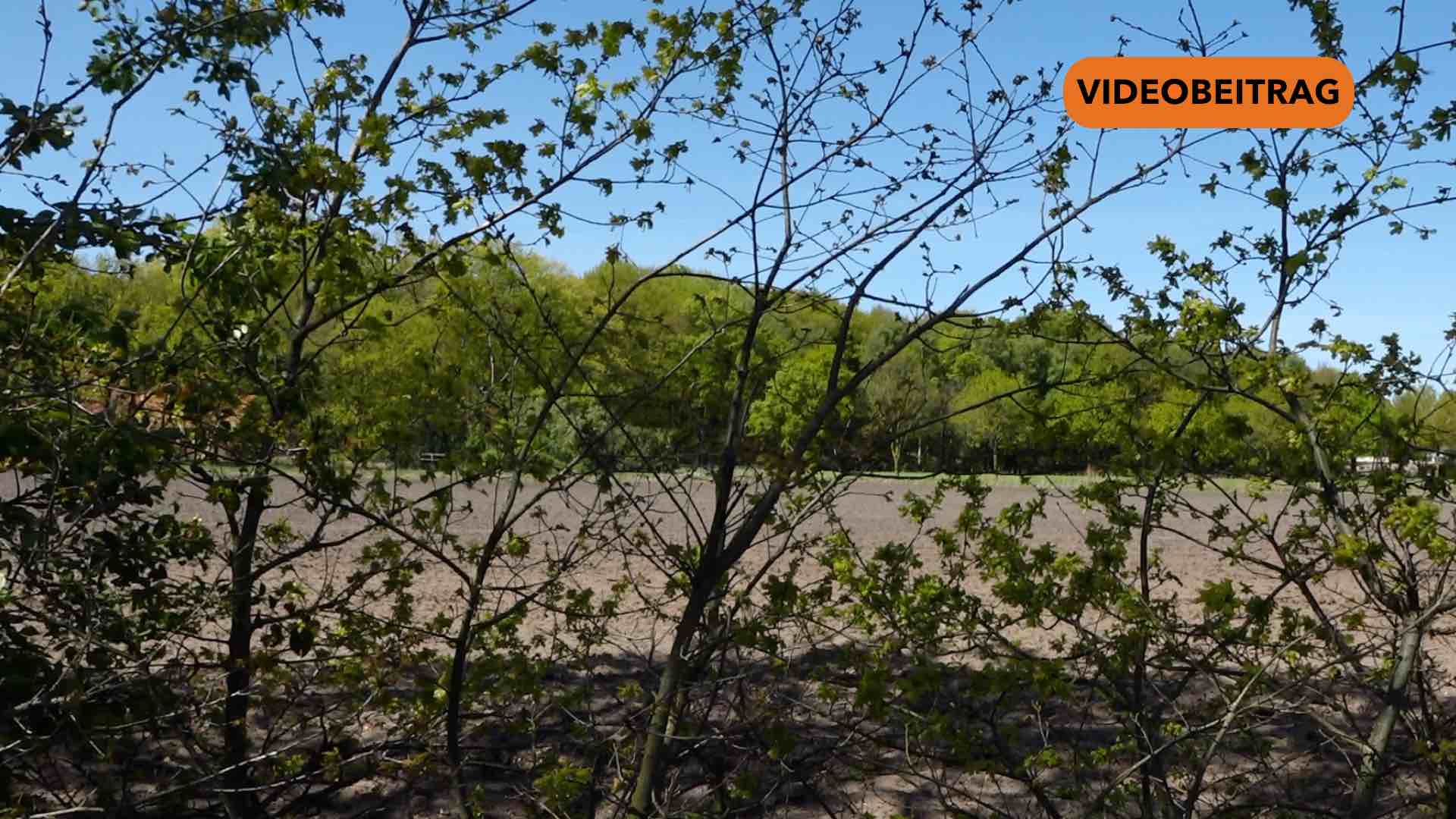 260430_Screen_Neues Baugebiet in Lingen-Laxten