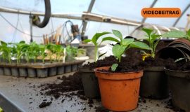 NICHT LÖSCHEN Screen_2024_NEU