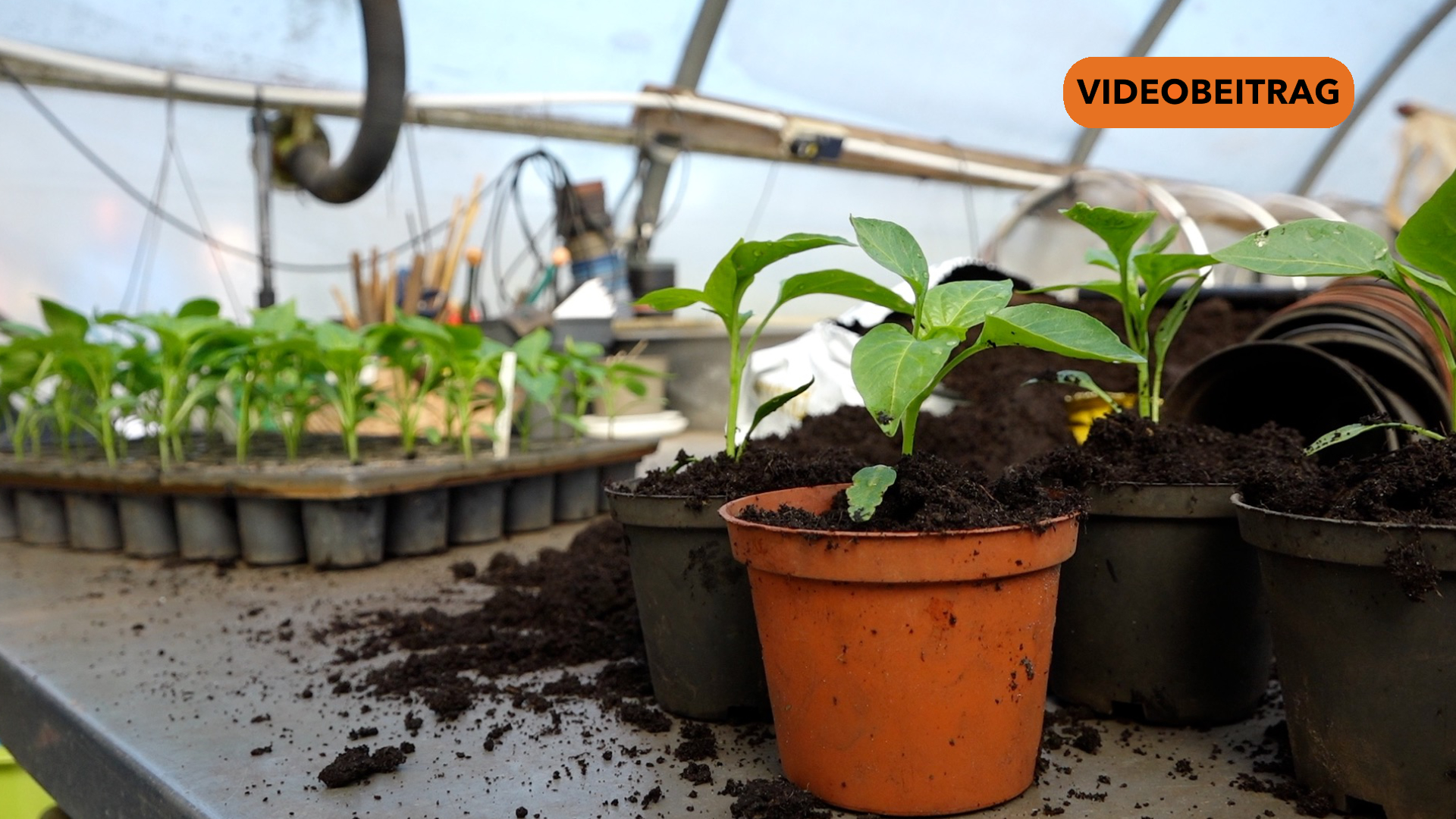 NICHT LÖSCHEN Screen_2024_NEU