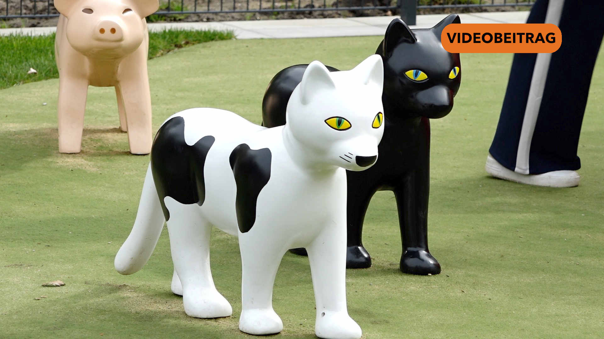 Screen_VU Haselünne