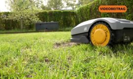 Screen_20260424_NachtfahrtverbotMähroboter
