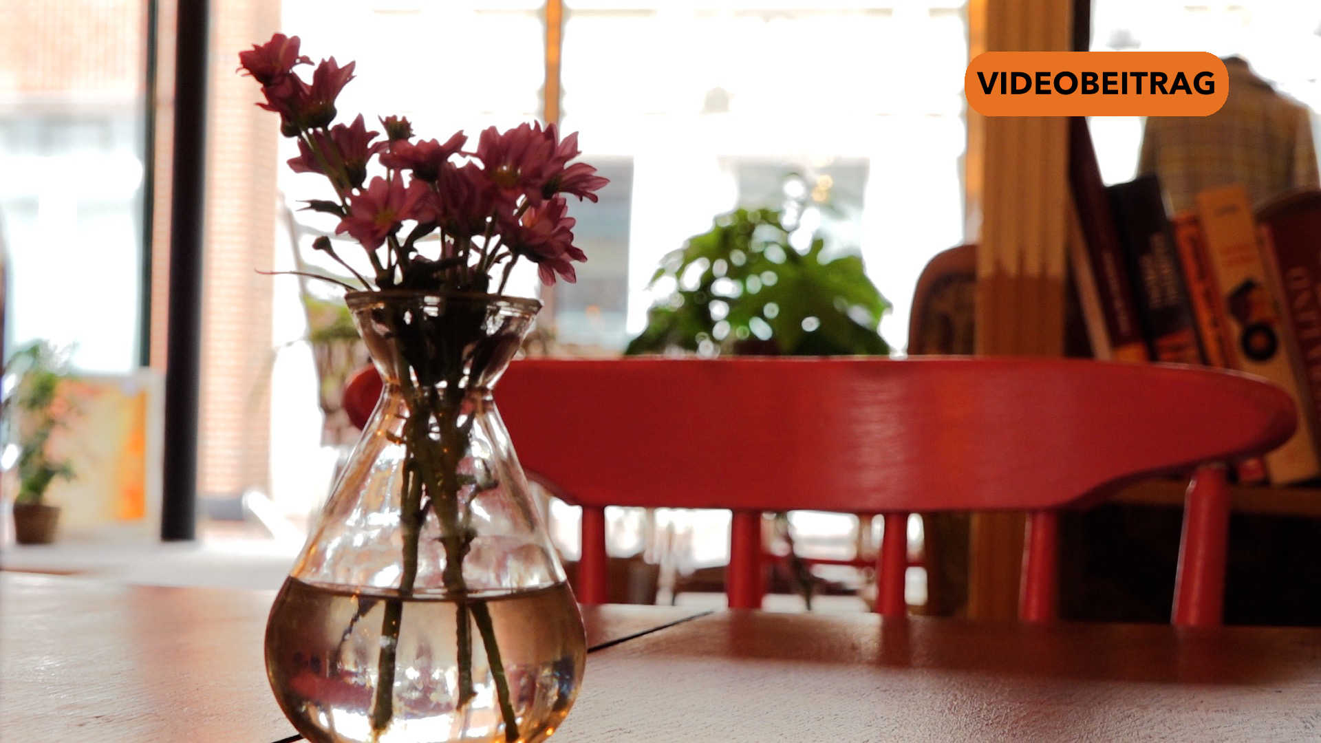 Screen_VU Haselünne