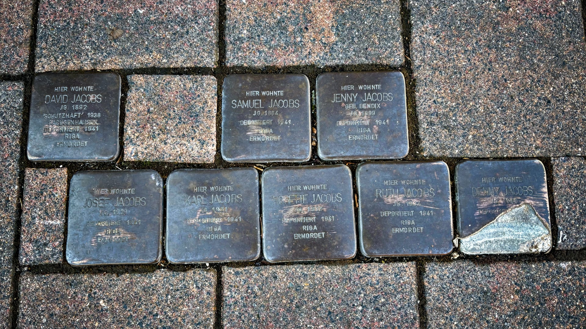 Stolpersteine Werlte