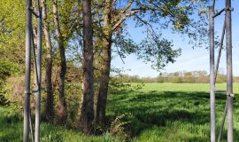 Verkehrsschilder an Kreisstraßen entwendet