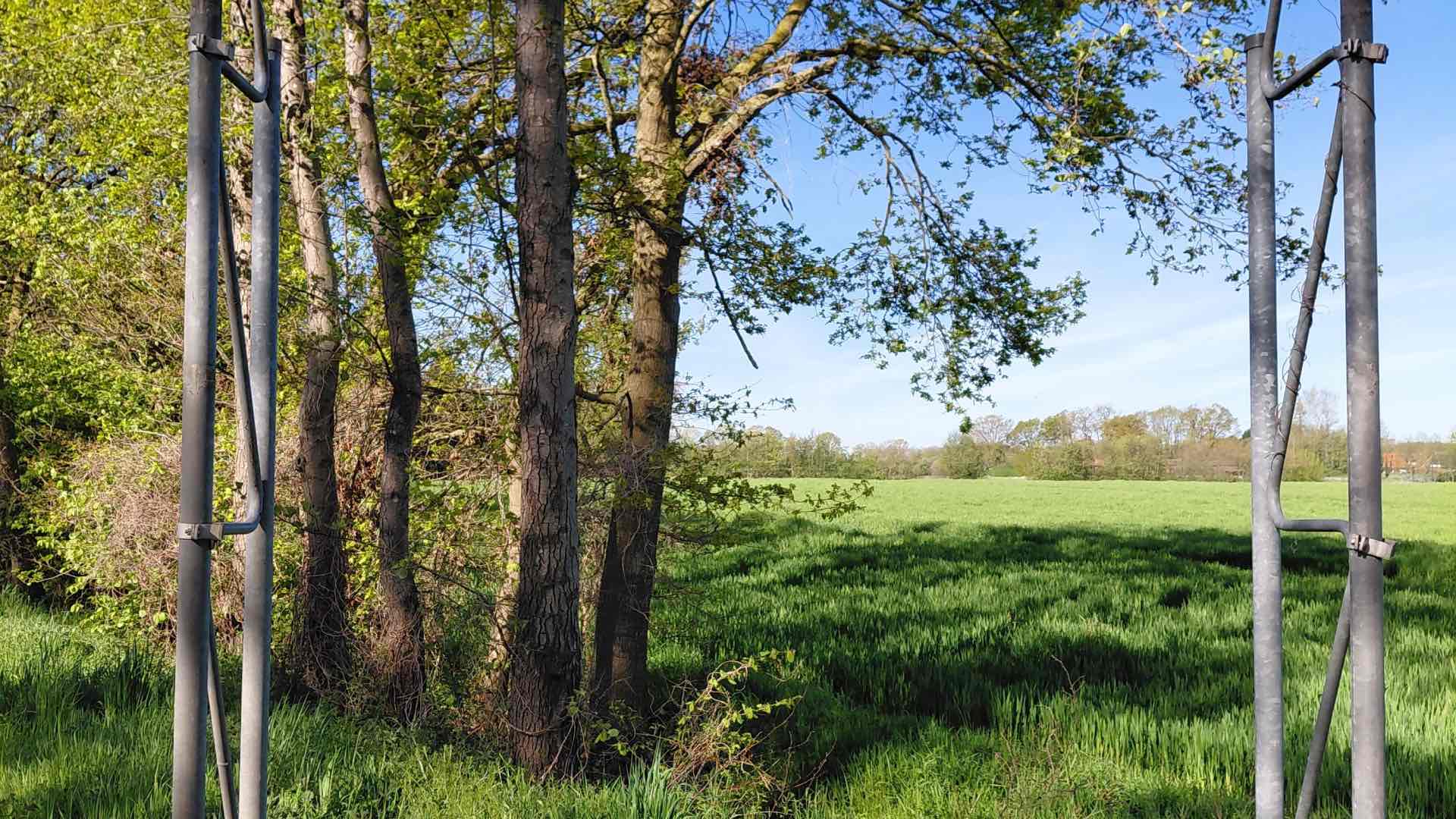 Verkehrsschilder an Kreisstraßen entwendet