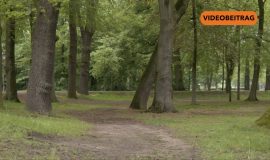 26 05 08 Notfallpunkt Meppen SCREEN