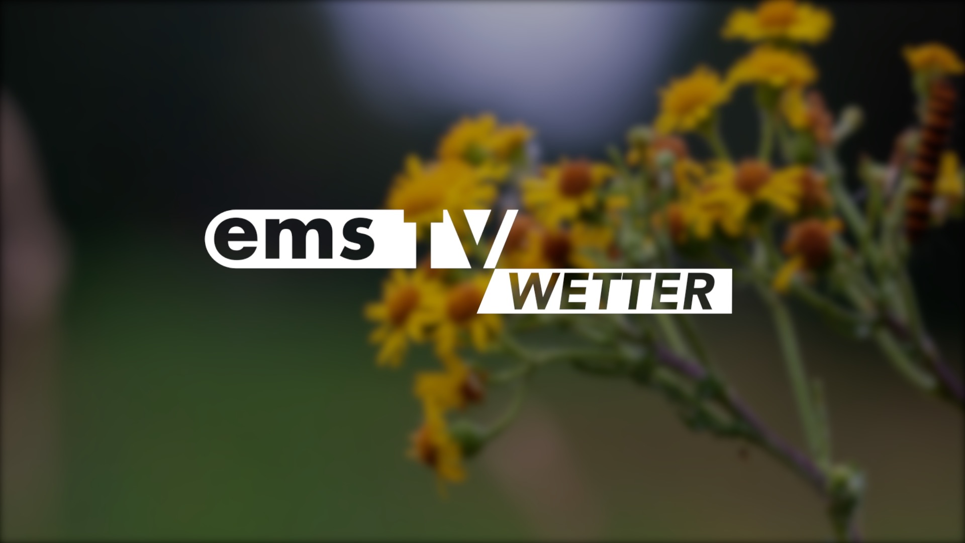 26 05 18 Wetter