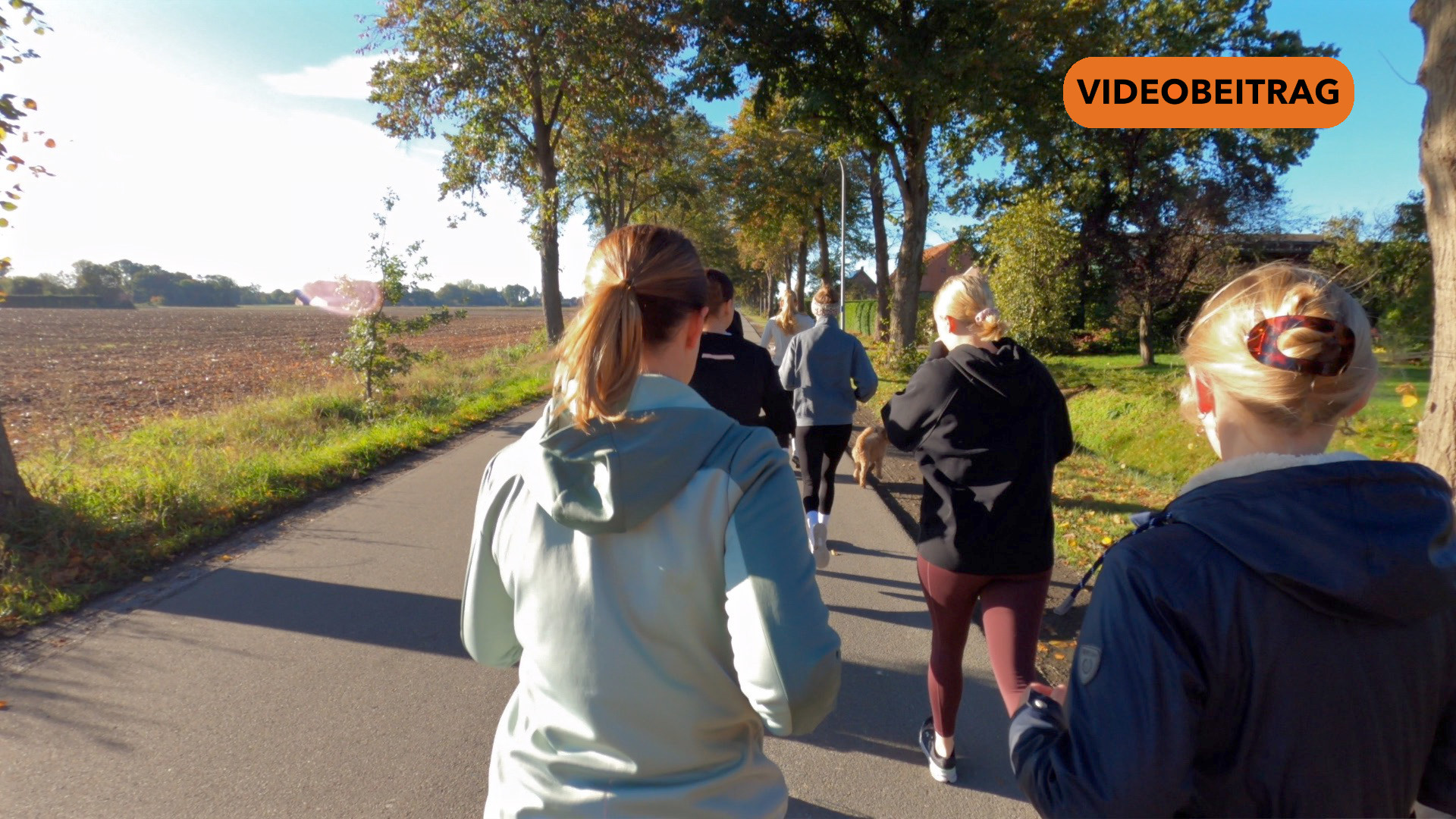 Harner Citylauf