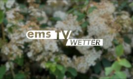 SCREENWetter27Mai