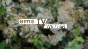 SCREENWetter27Mai