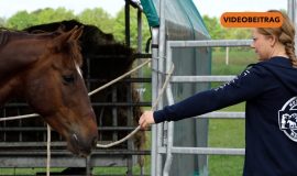 Screen_20260519_MustangMakeover