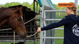 Screen_20260519_MustangMakeover