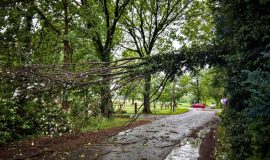 Wind Werlte