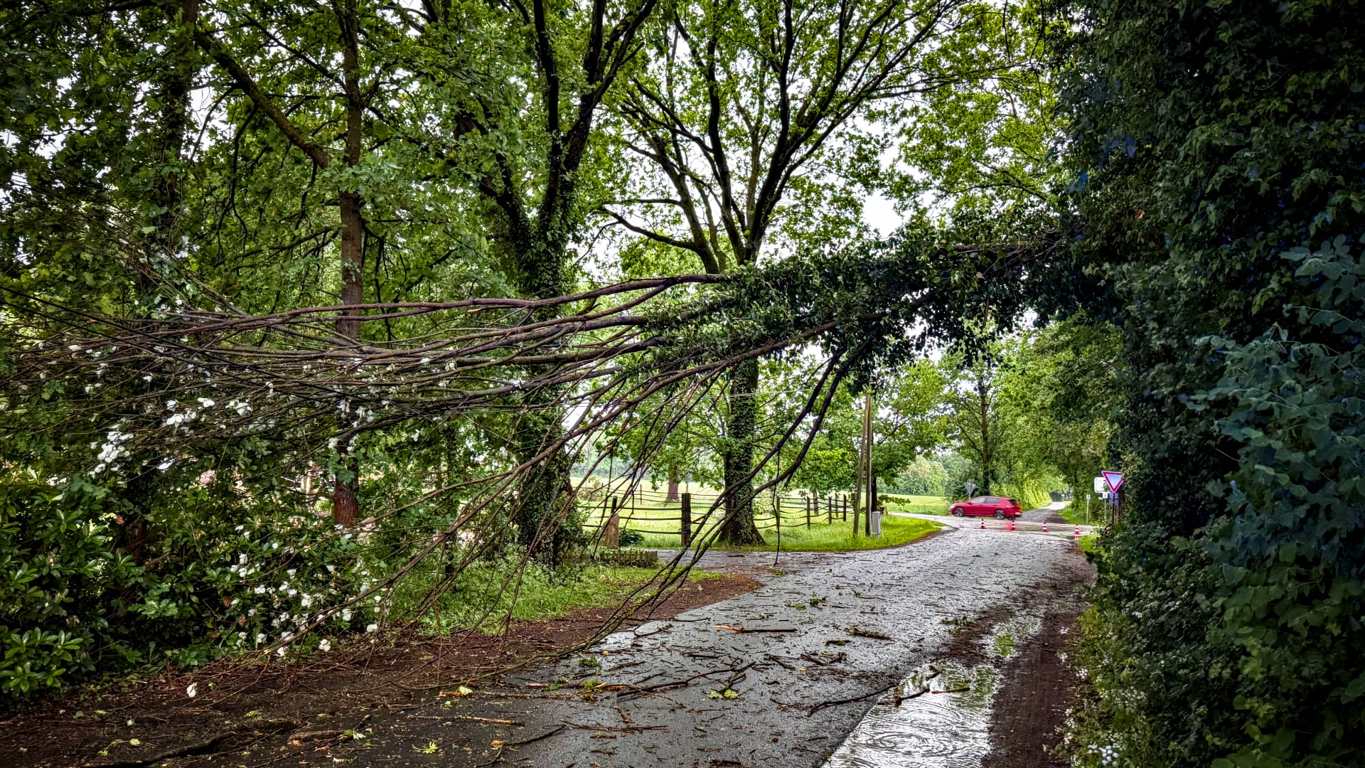 Wind Werlte