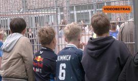 BILD Kopie