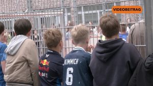BILD Kopie