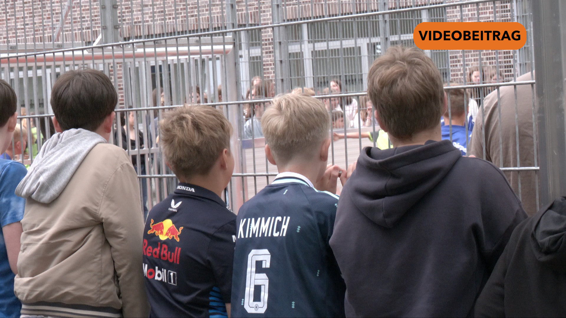 BILD Kopie