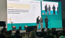Marianum-Schülerin Paula Schoe gewinnt Sonderpreis beim Bundesfinale %22Jugend forscht%22