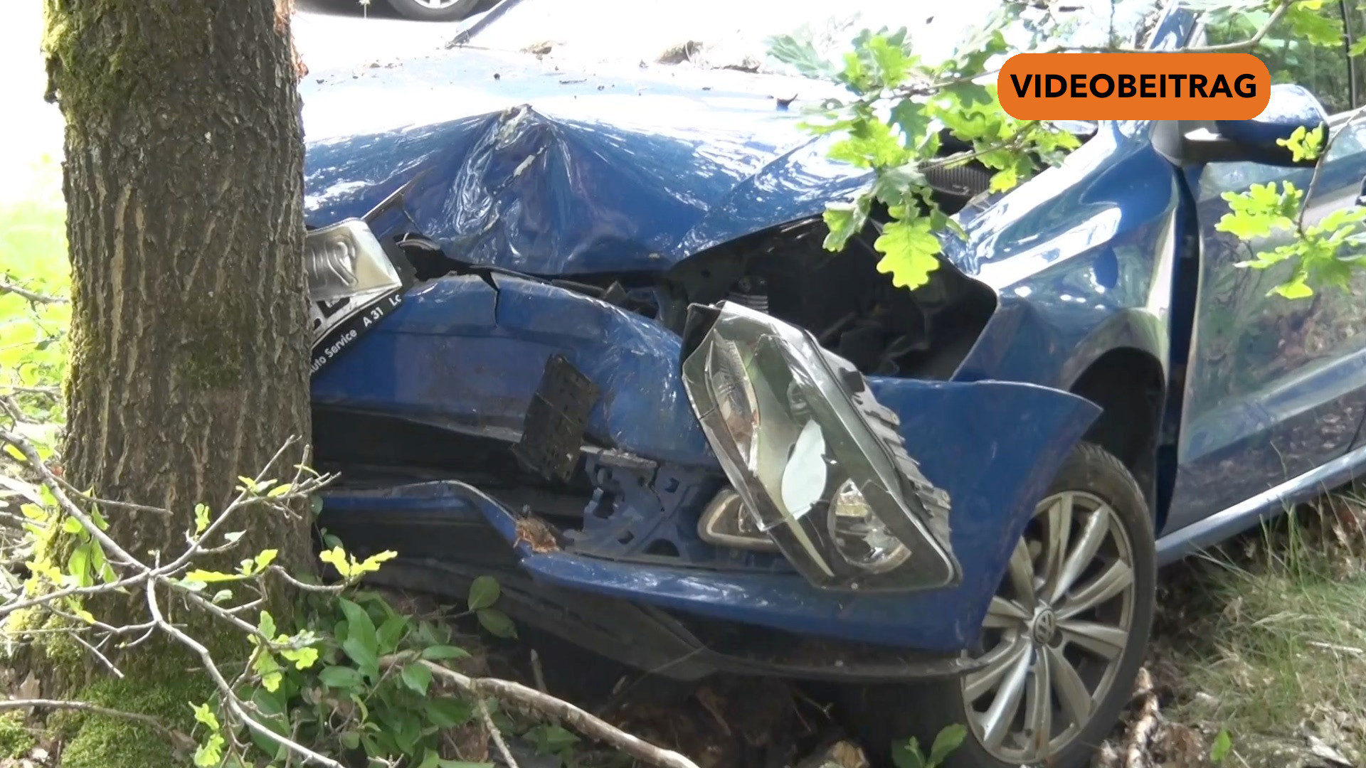 Pkw prallt gegen Baum