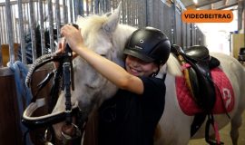 Reitturnier Lengerich