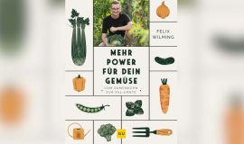 SCREENFelixGarten