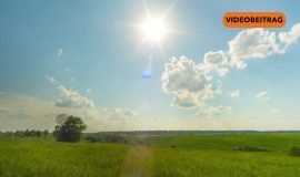 Screen_2024_NEU