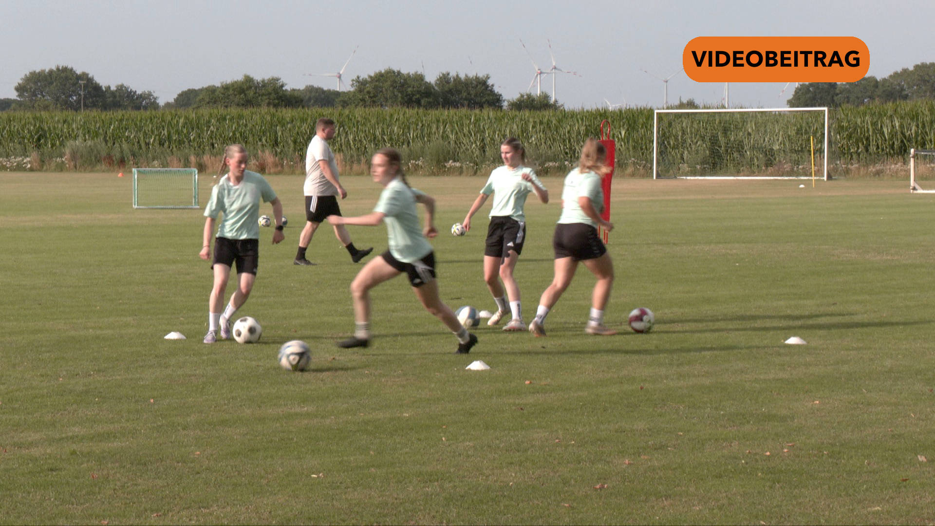 26 07 16 Heidekraut Andervenne Frauen SCREEN