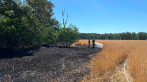 Flächenbrand Geeste-Bramhar