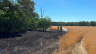 Flächenbrand Geeste-Bramhar
