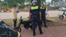 Polizei warnt vor manipulierten Fatbikes