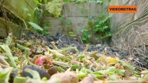 Screen_2024_NEU