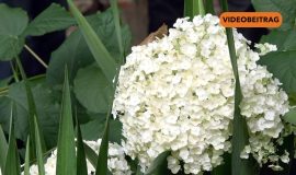 Screen_2024_NEU