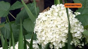 Screen_2024_NEU