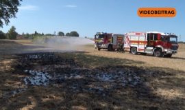 Screen_20260712_BrandGeeste