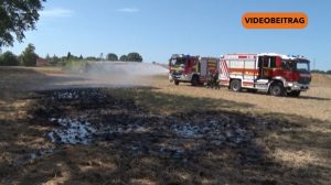 Screen_20260712_BrandGeeste