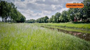 Screen_26 07 01 Baustart Haseauen Herzlake