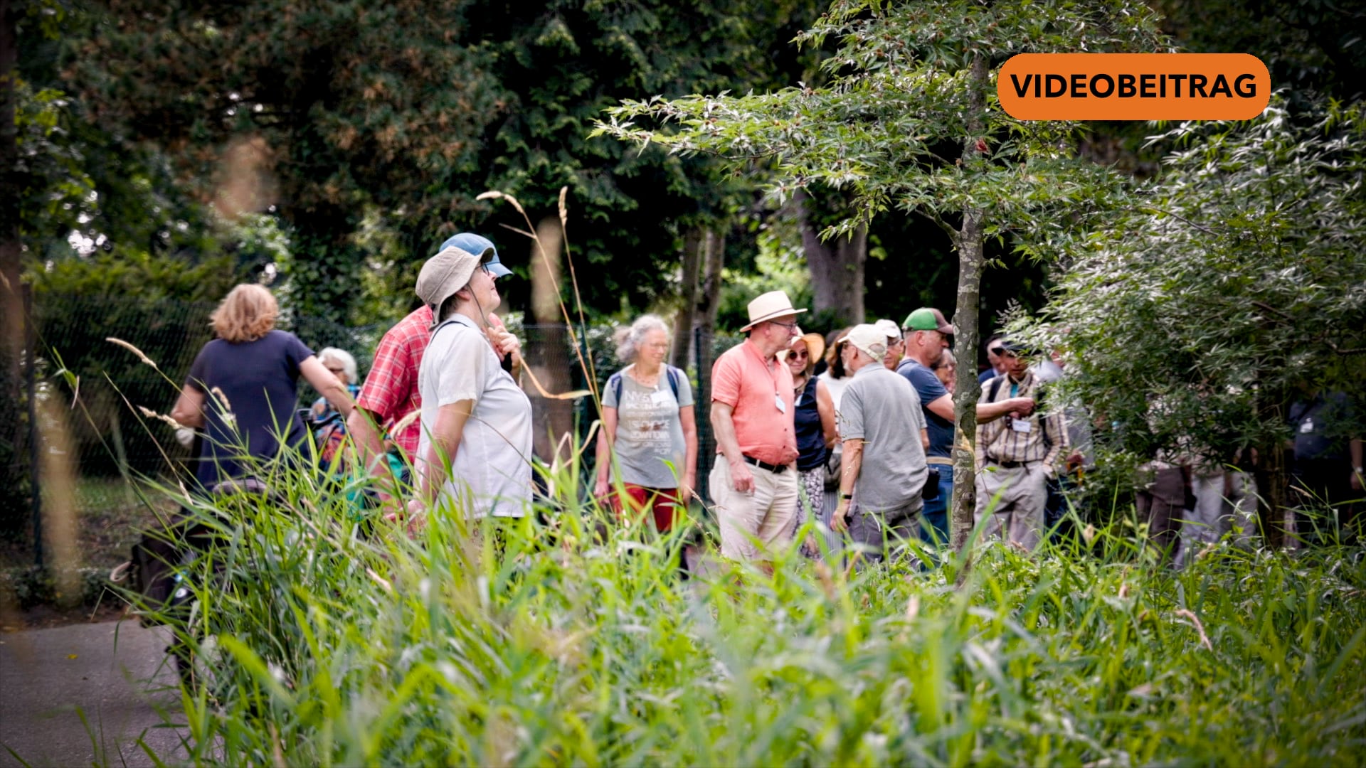 Screen_26 07 26 Baumfreunde Papenburg