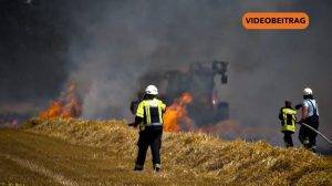 Screen_26 07 26 Flächenbrand Geeste