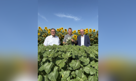 Spelle Blumen