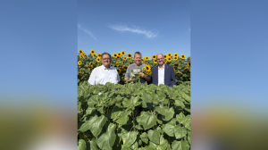 Spelle Blumen