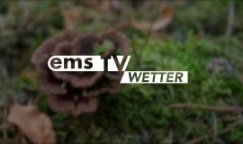26 08 17 Wetter