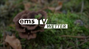 26 08 17 Wetter