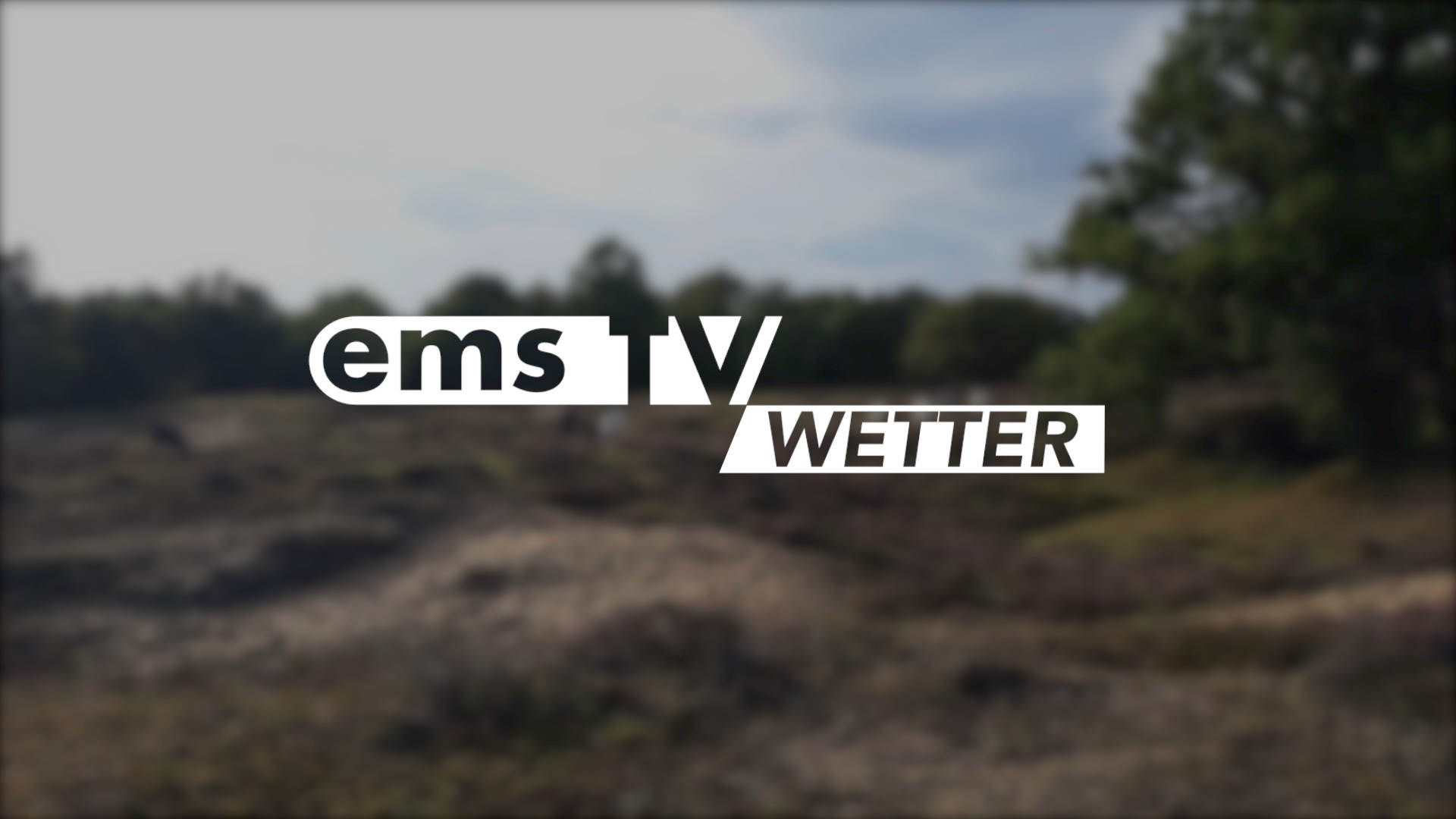 26 08 24 Wetter